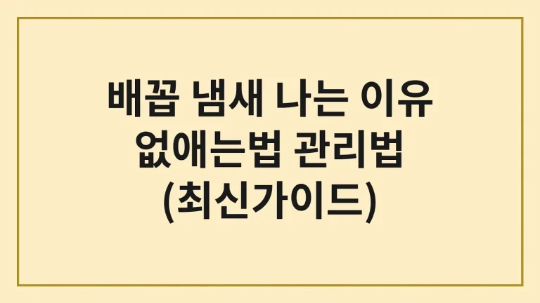 배꼽 냄새 나는 이유 없애는법