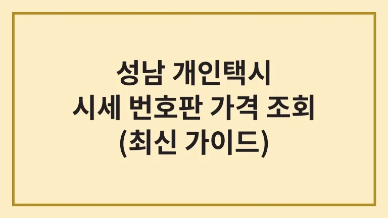 성남 개인택시 면허 시세 가격 번호판 가격 수입