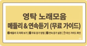 영탁 노래모음 메들리 제목 무료듣기 총정리 3 영탁 노래모음 메들리 제목 무료듣기 총정리