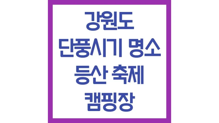 강원도 가을가볼만한곳 단풍 명소 드라이브 코스 축제 총정리
