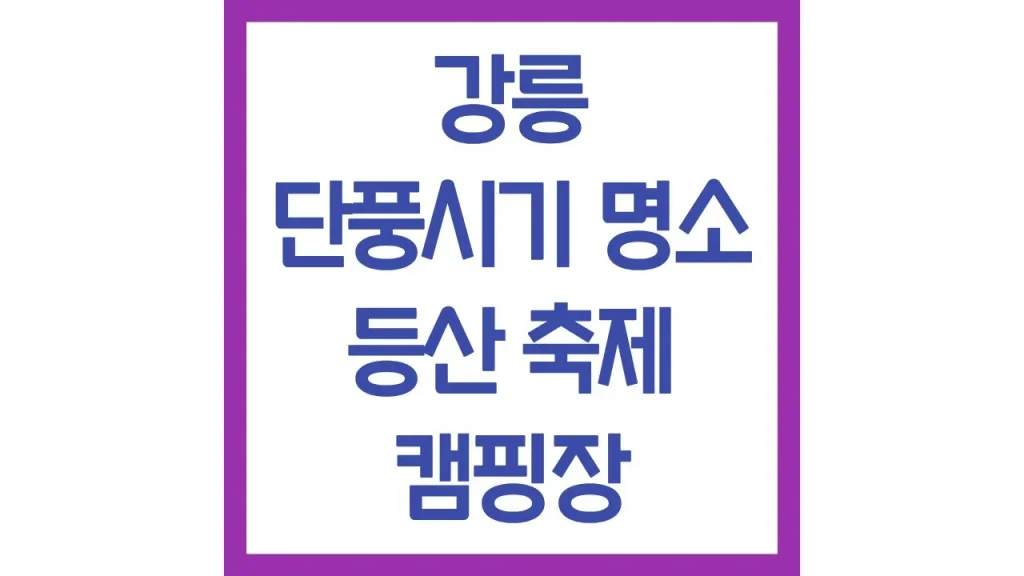 강릉 단풍시기 구경 축제 카페 드라이브 캠핑장 최신가이드 1 5 11