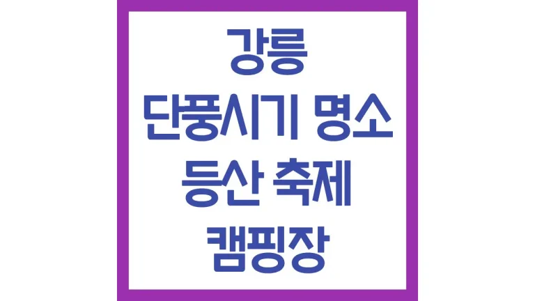 강릉 단풍시기 구경 축제 카페 드라이브 캠핑장 최신가이드