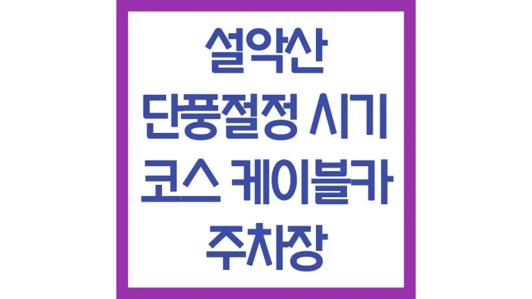 설악산 단풍 절정 시기 코스 실시간 케이블카 주차 명소 주차장 최신가이드