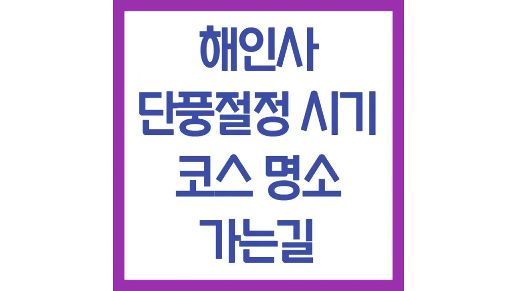깔끔 4 2